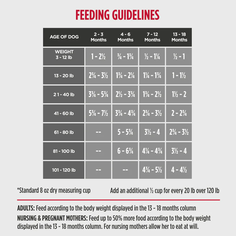 썸네일_06_뉴로 퍼피 연어_FG.PNG