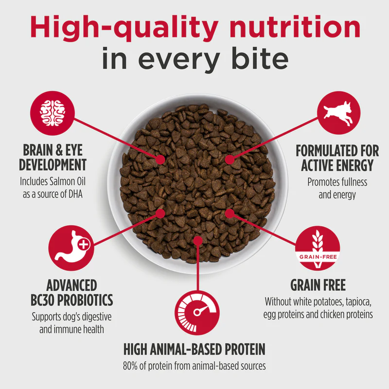 썸네일_06_뉴로 퍼피 연어_HQ.PNG