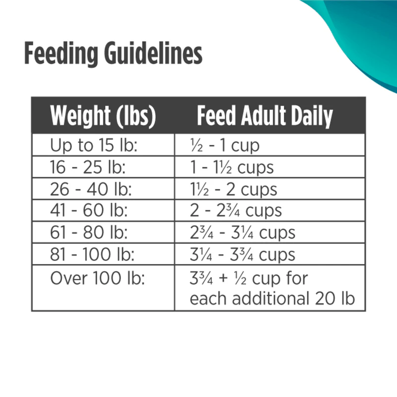 썸네일_03_뉴로 LID 연어_FG.PNG