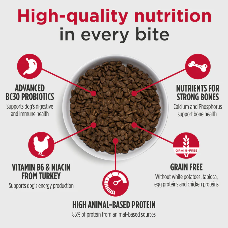 썸네일_02_뉴로 어덜트 칠면조_HQ.PNG